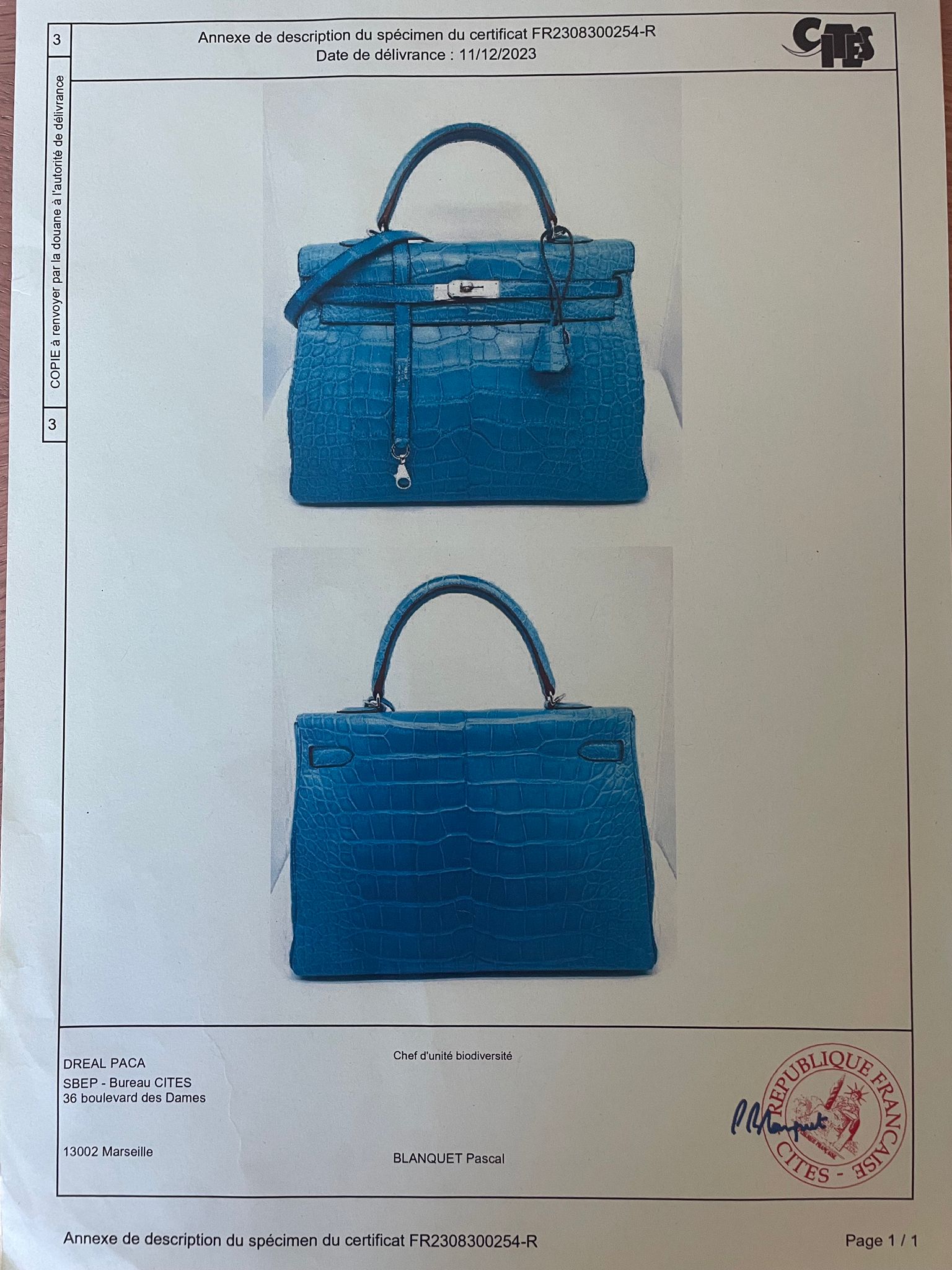Sac Hermès Kelly retourné 35 en cuir Alligator mat Mykonos. - Soline